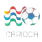 巴西CAAC